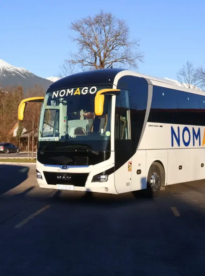 Coach hired Slovenia